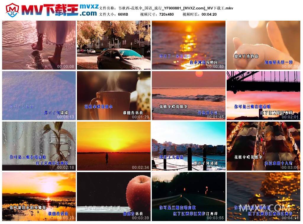 韦秋西-花纸伞_国语_流行_YF900881